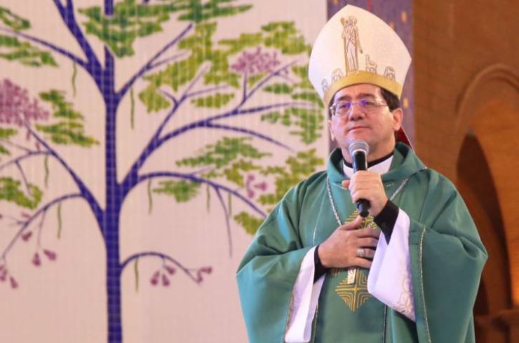 dompauloaparecida2.jpg